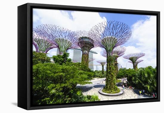 Supertree Grove in the Gardens by the Bay, a Futuristic Botanical Gardens and Park, Marina Bay-Fraser Hall-Framed Stretched Canvas