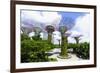 Supertree Grove in the Gardens by the Bay, a Futuristic Botanical Gardens and Park, Marina Bay-Fraser Hall-Framed Photographic Print