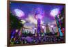 Supertree Grove in the Gardens by the Bay, a Futuristic Botanical Gardens and Park-Fraser Hall-Framed Photographic Print