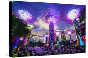 Supertree Grove in the Gardens by the Bay, a Futuristic Botanical Gardens and Park-Fraser Hall-Stretched Canvas