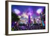 Supertree Grove in the Gardens by the Bay, a Futuristic Botanical Gardens and Park-Fraser Hall-Framed Photographic Print