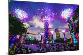 Supertree Grove in the Gardens by the Bay, a Futuristic Botanical Gardens and Park-Fraser Hall-Mounted Photographic Print