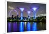 Supertree Grove in the Gardens by the Bay, a Futuristic Botanical Gardens and Park-Fraser Hall-Framed Photographic Print