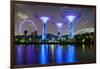 Supertree Grove in the Gardens by the Bay, a Futuristic Botanical Gardens and Park-Fraser Hall-Framed Photographic Print