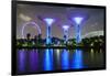 Supertree Grove in the Gardens by the Bay, a Futuristic Botanical Gardens and Park-Fraser Hall-Framed Photographic Print