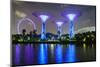 Supertree Grove in the Gardens by the Bay, a Futuristic Botanical Gardens and Park-Fraser Hall-Mounted Photographic Print