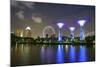 Supertree Grove in the Gardens by the Bay, a Futuristic Botanical Gardens and Park-Fraser Hall-Mounted Photographic Print