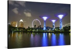 Supertree Grove in the Gardens by the Bay, a Futuristic Botanical Gardens and Park-Fraser Hall-Stretched Canvas