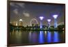 Supertree Grove in the Gardens by the Bay, a Futuristic Botanical Gardens and Park-Fraser Hall-Framed Photographic Print