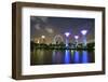 Supertree Grove in the Gardens by the Bay, a Futuristic Botanical Gardens and Park-Fraser Hall-Framed Photographic Print