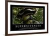 Supervivencia. Cita Inspiradora Y Póster Motivacional-null-Framed Photographic Print