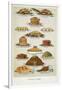 Supper Dishes. Meat and Fish Dishes-Isabella Beeton-Framed Giclee Print