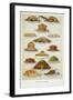 Supper Dishes. Meat and Fish Dishes-Isabella Beeton-Framed Giclee Print