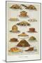 Supper Dishes. Meat and Fish Dishes-Isabella Beeton-Mounted Giclee Print