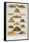 Supper Dishes. Meat and Fish Dishes-Isabella Beeton-Framed Stretched Canvas