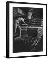 Supply of Coca Cola at Guantanamo Naval Base-null-Framed Photographic Print