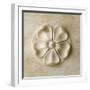 White Frame
