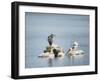 Support Group-Jai Johnson-Framed Giclee Print