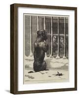 Supported by Voluntary Contributions-John Charles Dollman-Framed Giclee Print