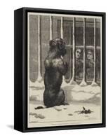 Supported by Voluntary Contributions-John Charles Dollman-Framed Stretched Canvas