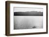 Supposed Sighting of the Loch Ness Monster-null-Framed Photographic Print