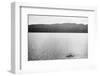 Supposed Sighting of the Loch Ness Monster-null-Framed Photographic Print