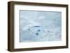 Supra Glacial Lakes over the Ice Sheet in Greenland. Aerial Shot.-Milan Petrovic-Framed Photographic Print