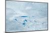 Supra Glacial Lakes over the Ice Sheet in Greenland. Aerial Shot.-Milan Petrovic-Mounted Photographic Print