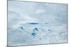 Supra Glacial Lakes over the Ice Sheet in Greenland. Aerial Shot.-Milan Petrovic-Mounted Photographic Print