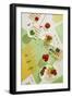 Suprematic Meal: Pasta With Tomato Sauce And Mushrooms-Dina Belenko-Framed Giclee Print
