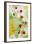 Suprematic Meal: Pasta With Tomato Sauce And Mushrooms-Dina Belenko-Framed Giclee Print