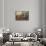 Supreme Court Room, Washington D.C.-null-Framed Stretched Canvas displayed on a wall