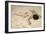 Sur le sable de la dune-Pierre Carrier-belleuse-Framed Giclee Print