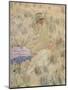 'Sur les Dunes', 1913, (c1932)-Frederick Carl Frieseke-Mounted Giclee Print