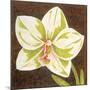 Surabaya Orchid Petites B-Judy Shelby-Mounted Art Print