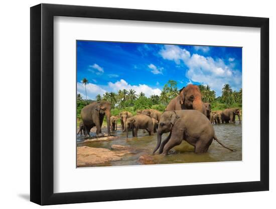 Premium Photographic Print, , large