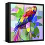 Canvas Black
