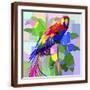 Brown Frame
