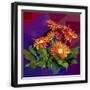 Black Frame