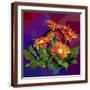 Brown Frame