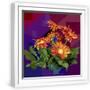 White Frame