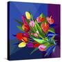 Stretched Canvas