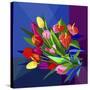 Stretched Canvas