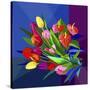 Stretched Canvas