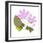 Black Frame