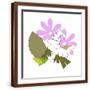 Brown Frame