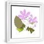 White Frame