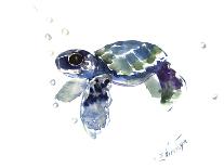 Sea Turtle-Suren Nersisyan-Art Print