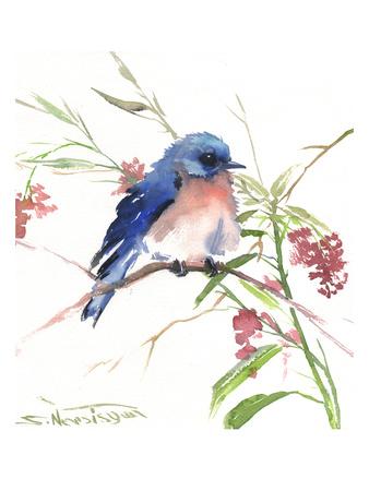 Blue Bird 8