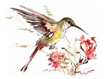 Ruby Throated Hummingbird-Suren Nersisyan-Art Print